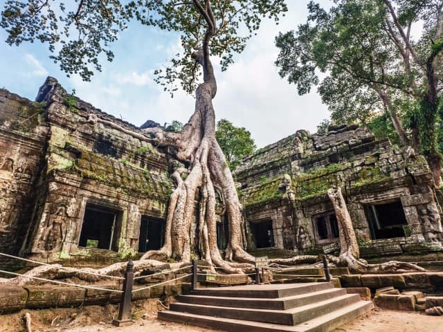 Viagem Camboja Templo Ta Prohm Angkor Viagem Camboja Templo Ta Prohm Angkor